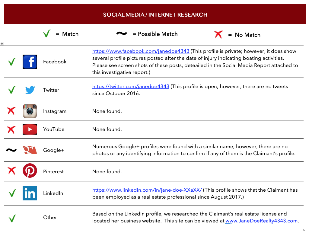Social Media Investigator - Direct Insight Services INC. For Private Investigator Surveillance Report Template